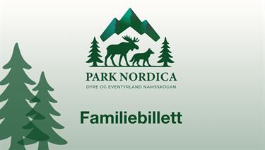 Image for: Familiy Ticket
