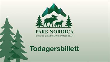 Image for: 2 Day Ticket
