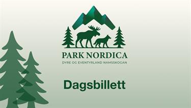 Image for: 1 Day Ticket